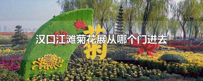 汉口江滩菊花展从哪个门进去