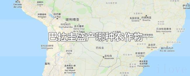 巴拉圭盛产哪种农作物
