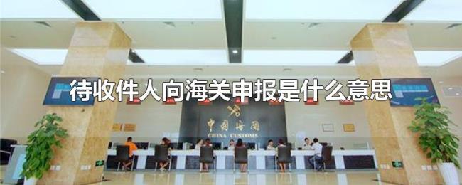待收件人向海关申报是什么意思 待收件人向海关申报是什么意思