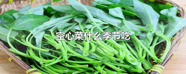 空心菜什么季节吃 空心菜什么季节吃