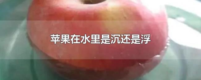 苹果在水里是沉还是浮 苹果在水里是沉还是浮