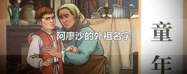 阿廖沙的外祖名字