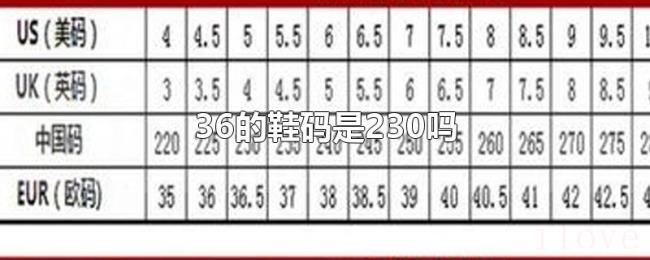 36的鞋码是230吗