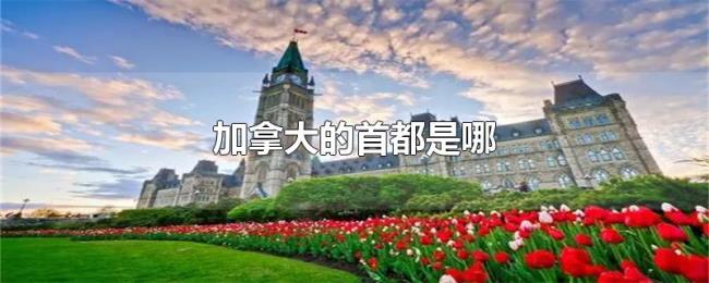 加拿大的首都是哪