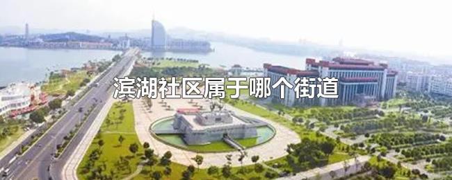 滨湖社区属于哪个街道