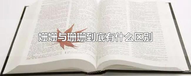 姗姗与珊珊到底有什么区别 姗姗与珊珊到底有什么区别