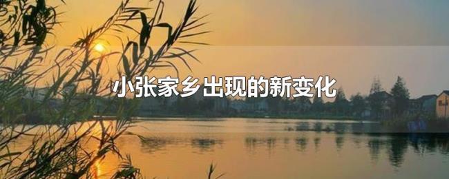 小张家乡出现的新变化