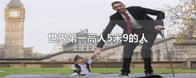 世界第一高人5米9的人 世界第一高人5米9的人