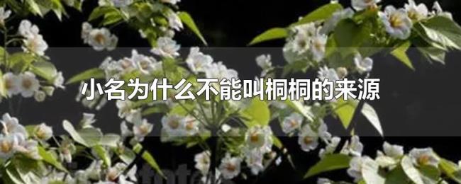 小名为什么不能叫桐桐的来源