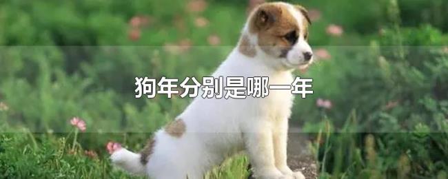 狗年是哪一年