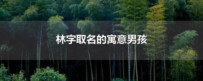 林字取名的寓意男孩