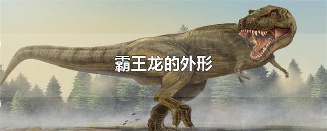 霸王龙的外形