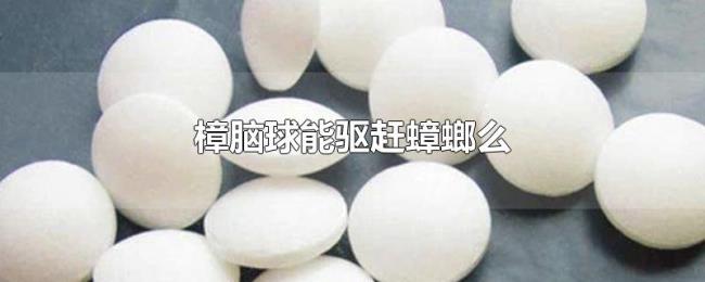 樟脑球能驱赶蟑螂么