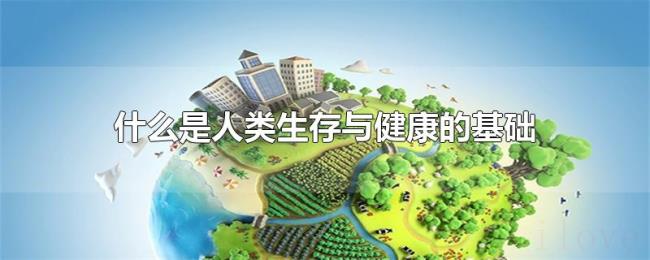 什么是人类生存与健康的基础