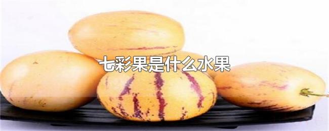七彩果是什么水果