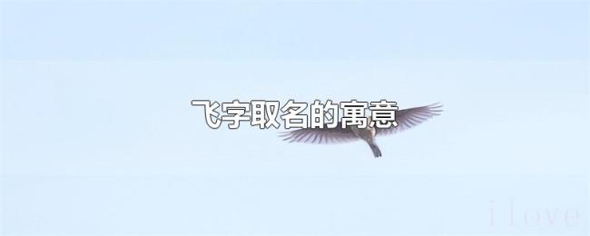飞字取名的寓意 飞字取名的寓意