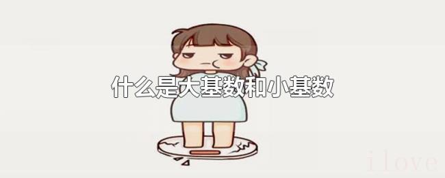 什么是大基数和小基数 什么是大基数和小基数