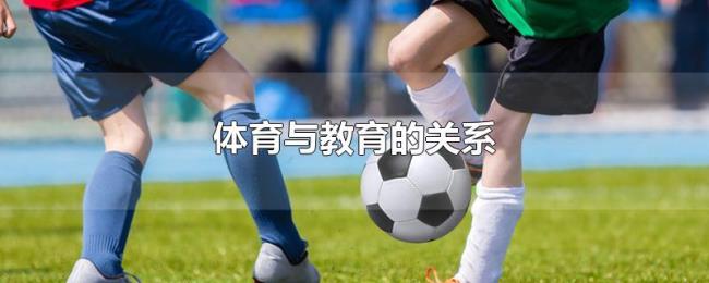 体育与教育的关系