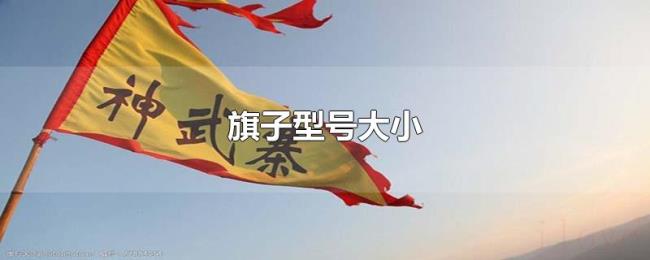 旗子型号大小