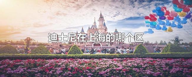 迪士尼在上海的哪个区