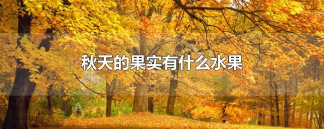 秋天的果实有什么水果 秋天的果实有什么水果