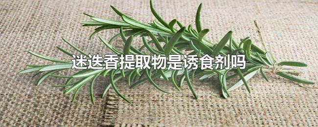 迷迭香提取物是诱食剂吗