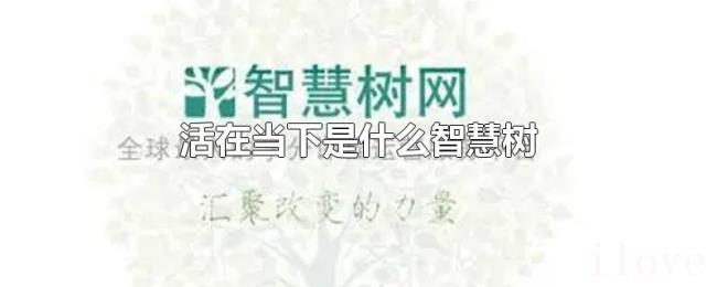 活在当下是什么智慧树 活在当下是什么智慧树