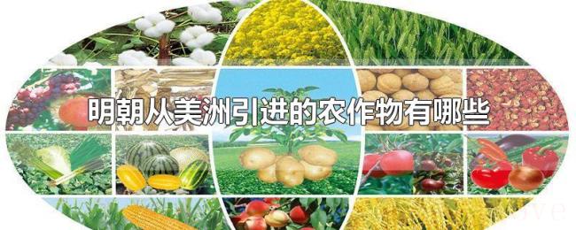 明朝从美洲引进的农作物有哪些