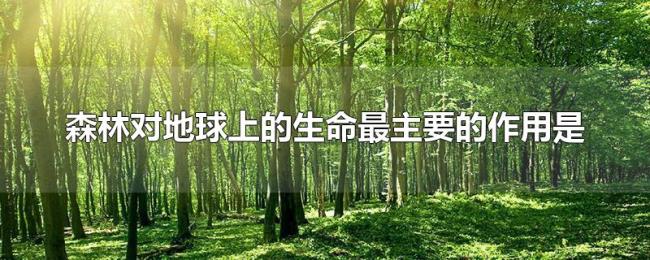 森林对地球上的生命最主要的作用是 森林对地球上的生命最主要的作用是