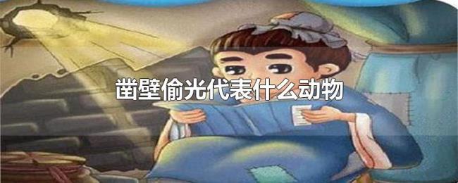 凿壁偷光代表什么动物 凿壁偷光代表什么动物