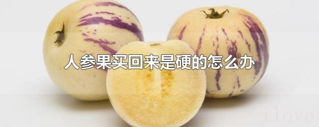 人参果买回来是硬的怎么办 人参果买回来是硬的怎么办