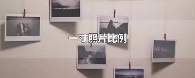 一寸照片比例