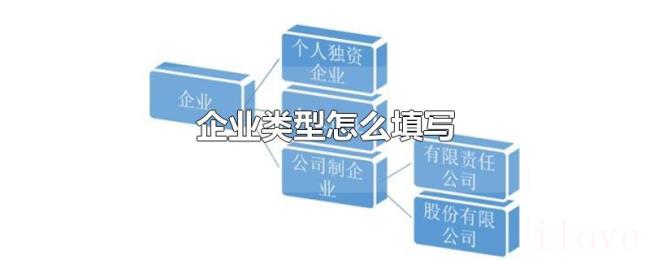 企业类型怎么填写 企业类型怎么填写
