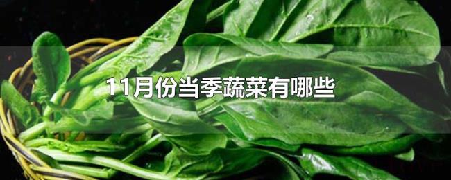 11月份当季蔬菜有哪些 11月份当季蔬菜有哪些