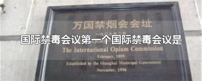国际禁毒会议第一个国际禁毒会议是