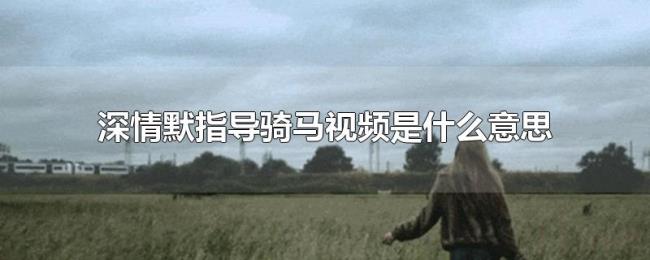 深情默指导骑马视频是什么意思