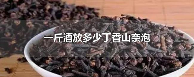 一斤酒放多少丁香山奈泡 一斤酒放多少丁香山奈泡
