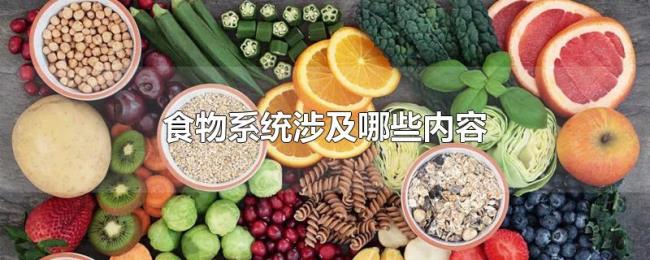 食物系统涉及哪些内容