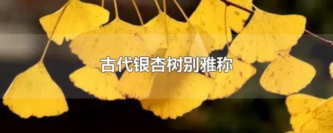 古代银杏树别雅称 古代银杏树别雅称