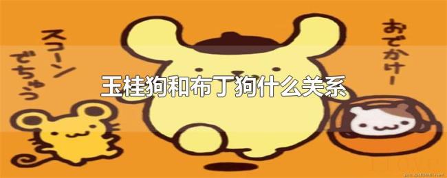 玉桂狗和布丁狗什么关系