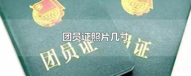 团员证照片几寸