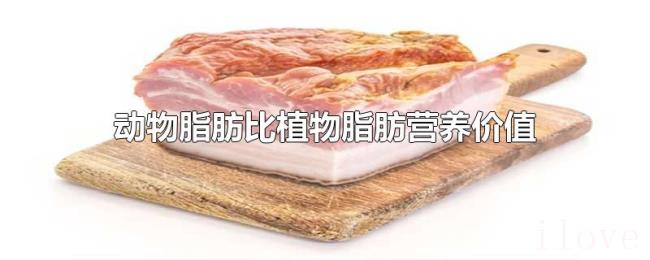 动物脂肪比植物脂肪营养价值高吗