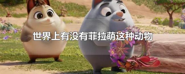 世界上有没有菲拉萌这种动物 世界上有没有菲拉萌这种动物