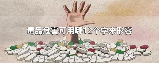 毒品危害可用哪12个字来形容