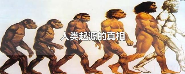 人类起源的真相