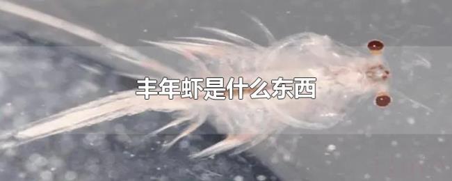 丰年虾是什么东西 丰年虾是什么东西
