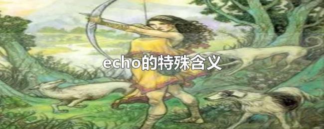 echo的特殊含义