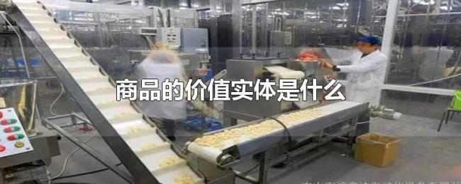 商品的价值实体是什么