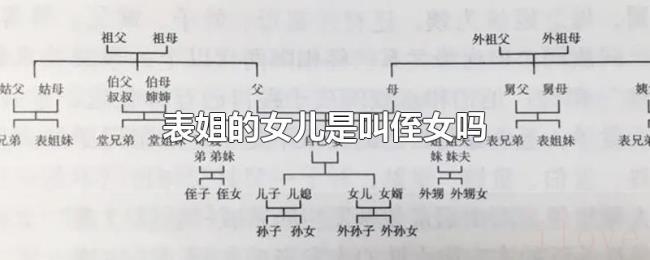 表姐的女儿是叫侄女吗