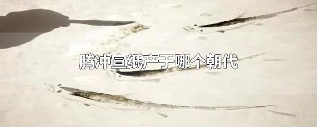 腾冲宣纸产于哪个朝代 腾冲宣纸产于哪个朝代
